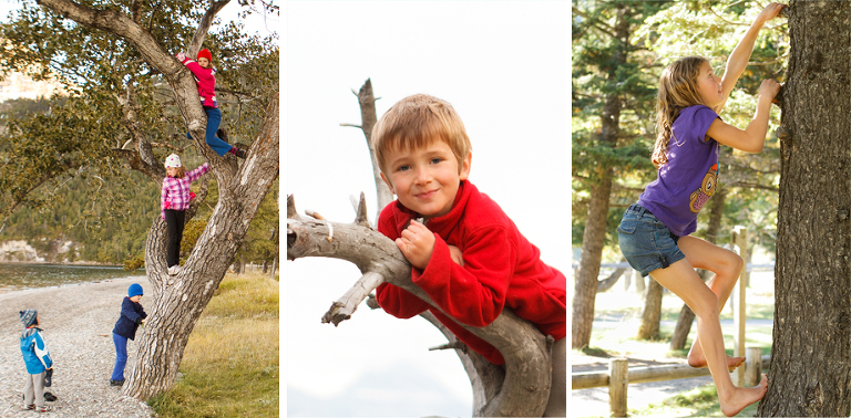 Climbing Trees Waterton