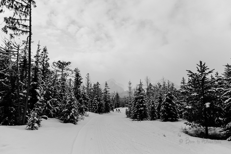 Fernie Nordic Centre