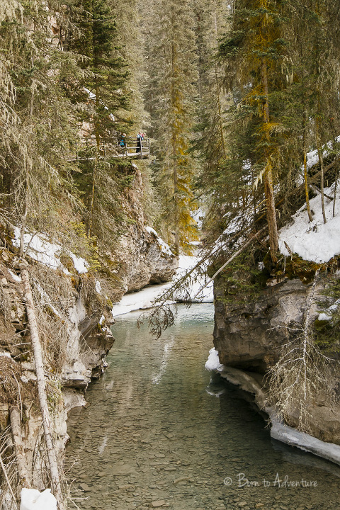 Johnston Canyon Banff