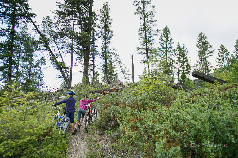 kids mountain biking