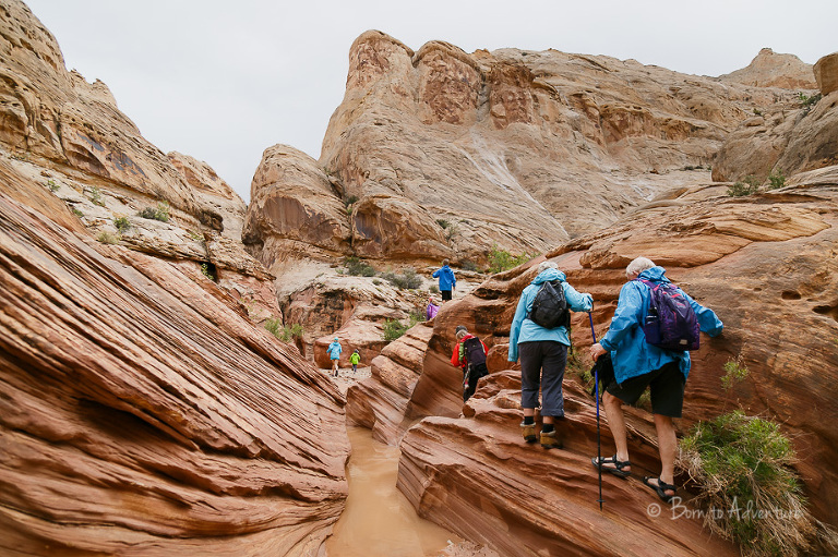 Hiking Little Wild Horse Canyon