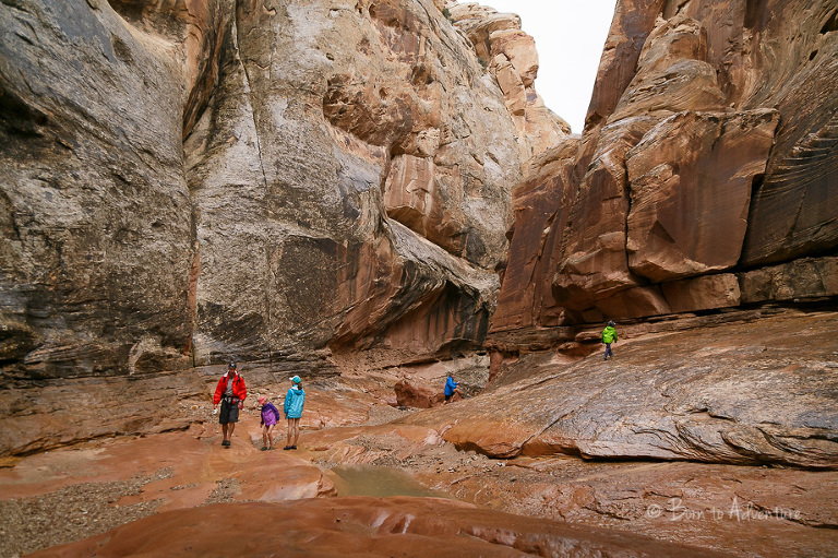 Hiking Little Wild Horse Canyon