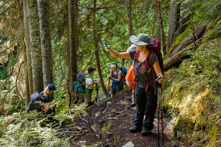 3 Sisters Rainforest Fernie