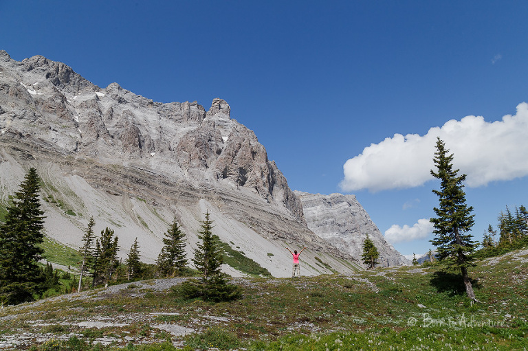 3 Sisters meadow, Fernie