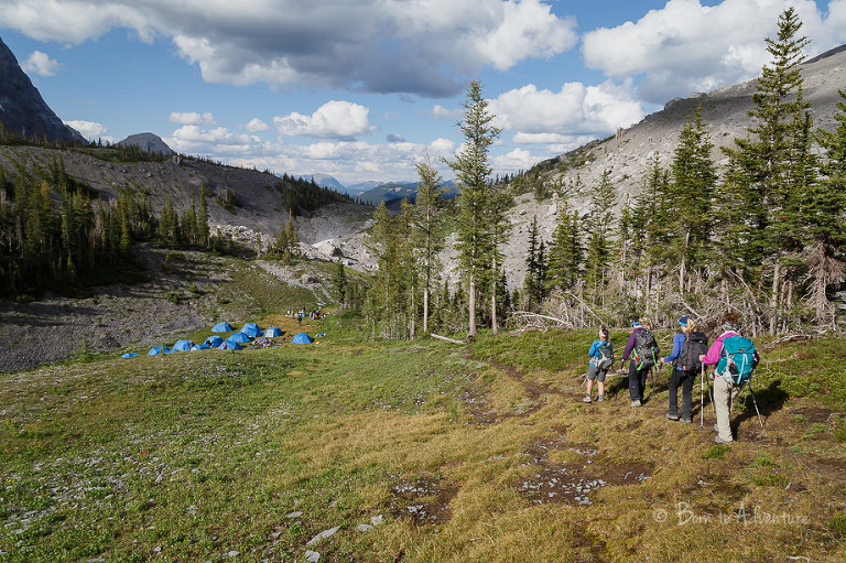 Camping in Meadow, 3 Sisters Fernie