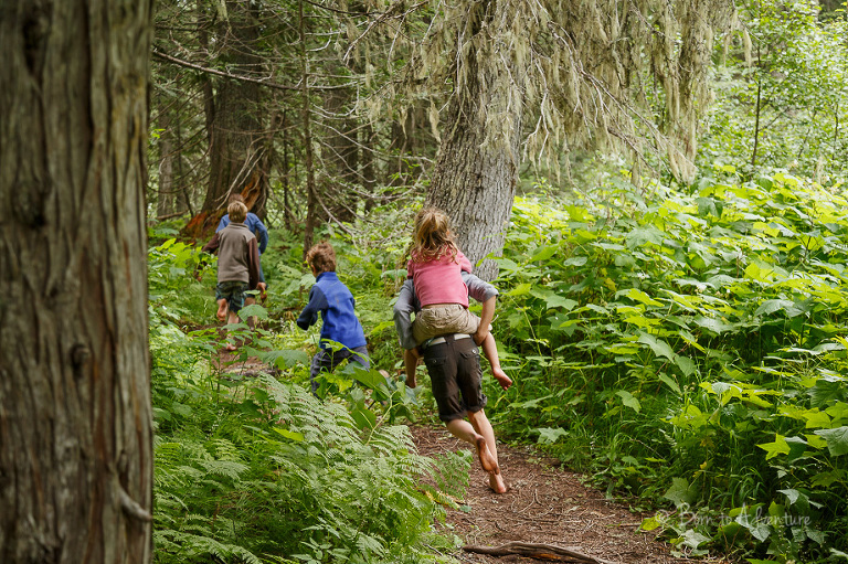 Old Growth Trail Fernie