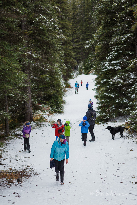 Hiking in snow in Kananaskis