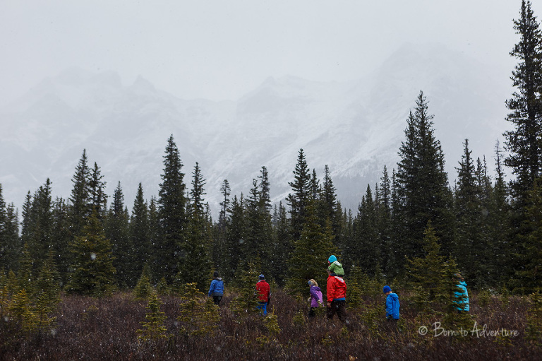Hiking around Elbow lake