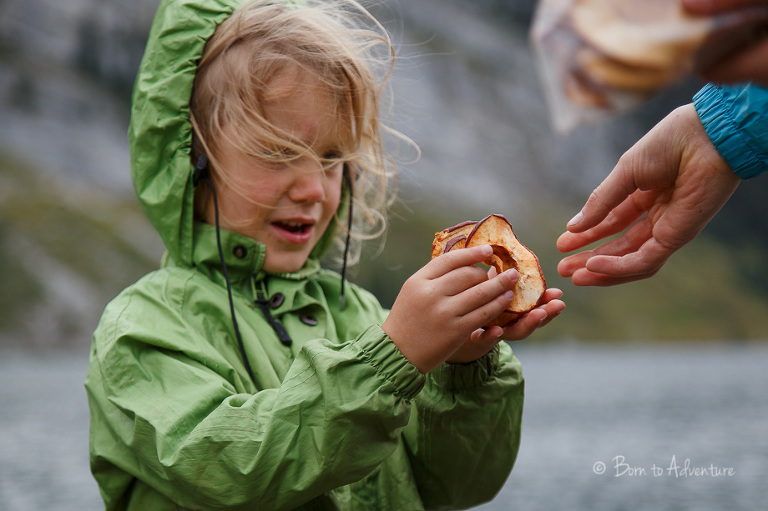 Dried Apple snacks