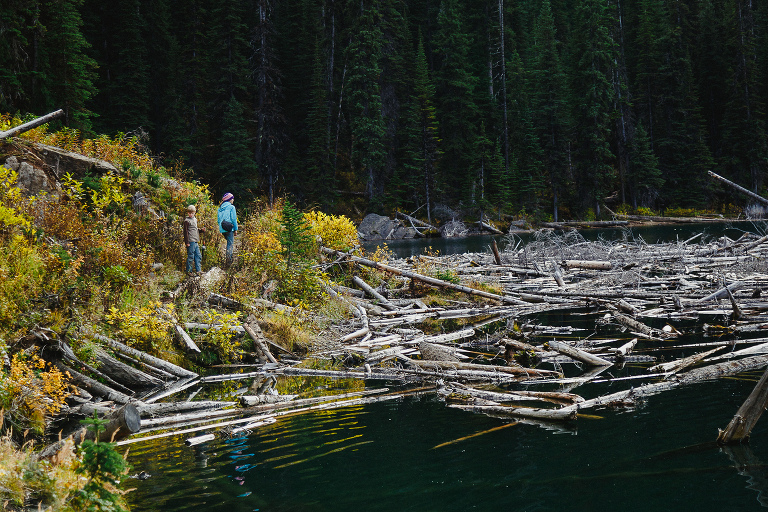 Fish Lake Top of the World