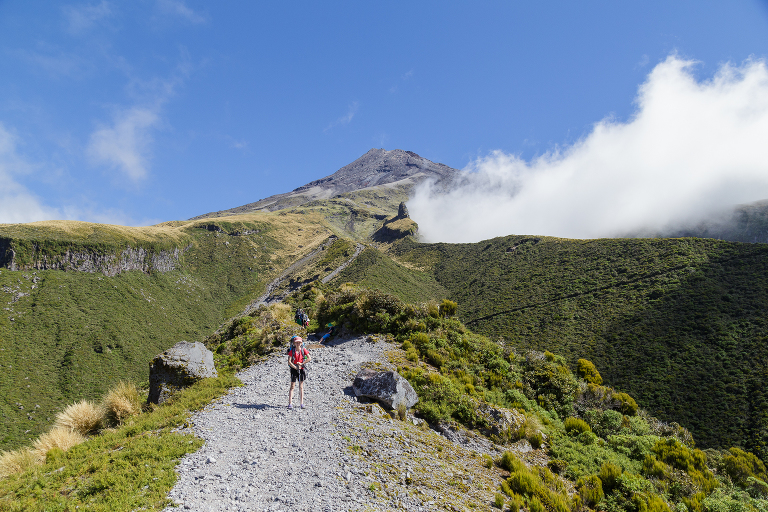 Holly Hut Track Mt Taranaki