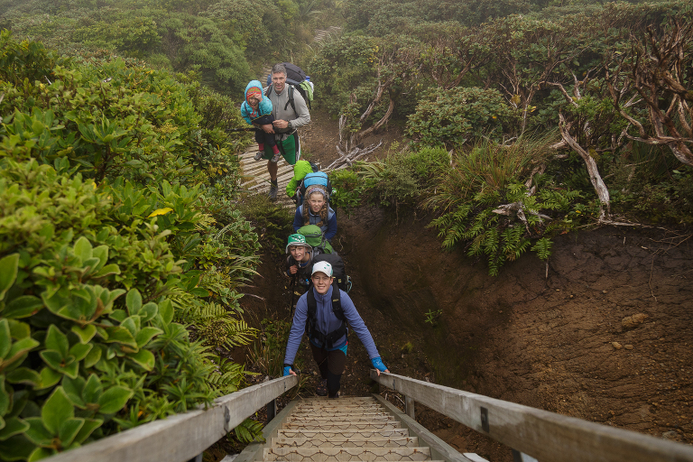 Henrys Peak Pouakai Ridge