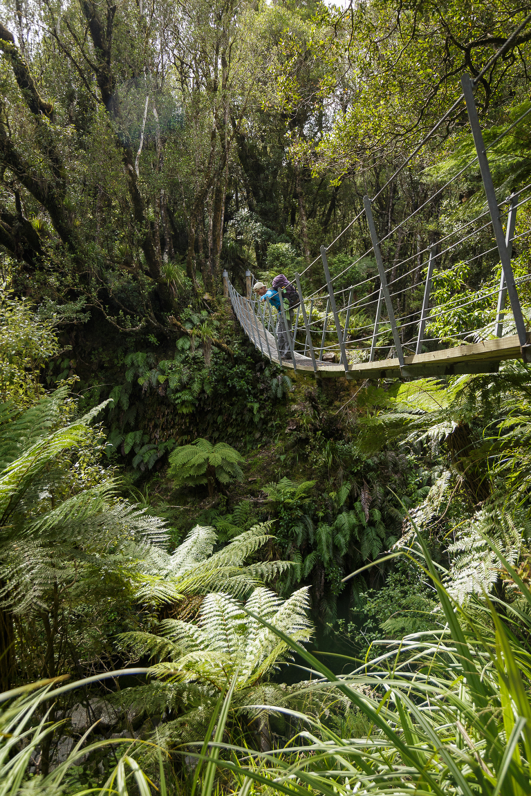 swingbridge pouakai track