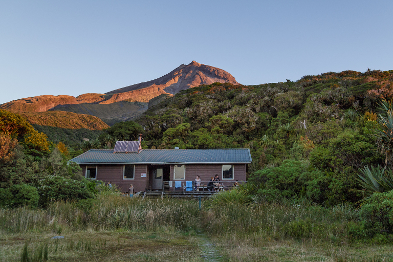Ahukawakawa Swamp Mt Taranaki