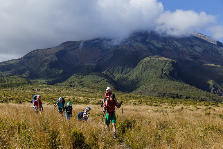 Ahukawakawa Swamp Mt Taranaki