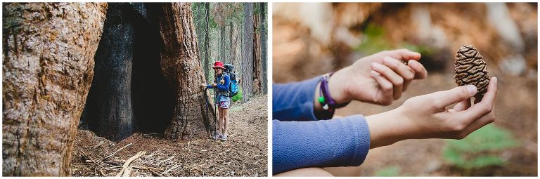 BTA Sequoia National Park Hike_0026