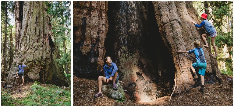BTA Sequoia National Park Hike_0027