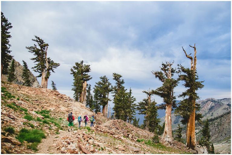 BTA Sequoia National Park Hike_0099
