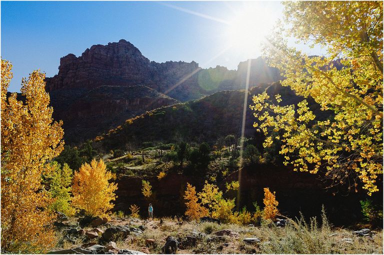 fall in zion national park