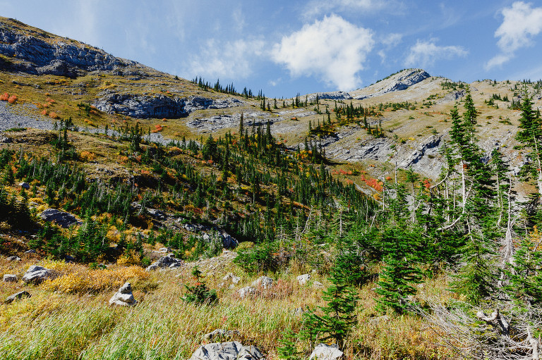 Hiking Lizard Lake Fernie