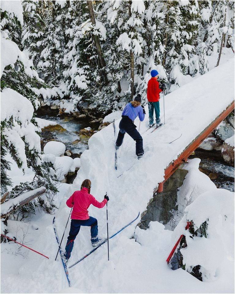 Meeting of the Waters Glacier National Park