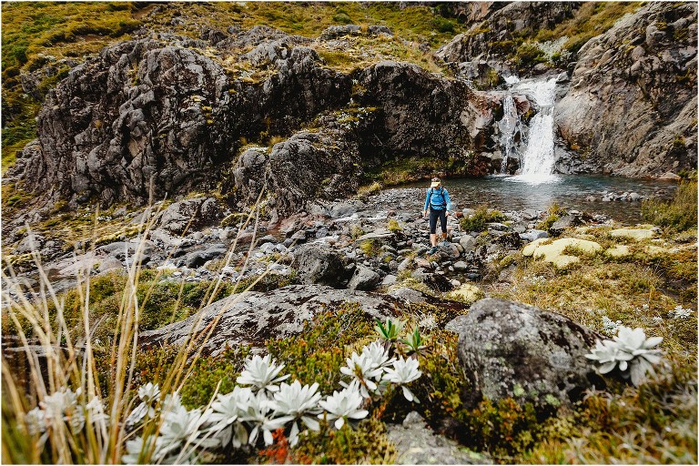 Whakapapaiti Falls Tongariro National Park