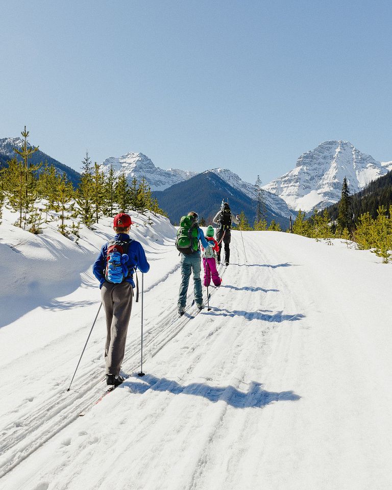 Nordic Skiing to Wildcat Hut