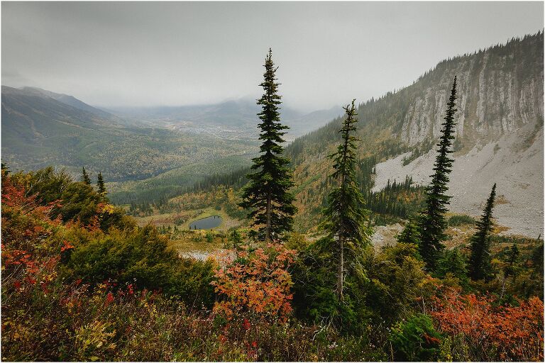 Liverwurst Pass Fernie